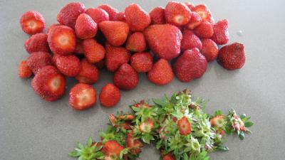 Sorbet aux fraises - 1.3