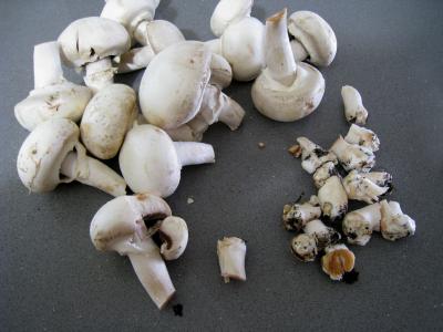 Blanquette de faisan - 3.1