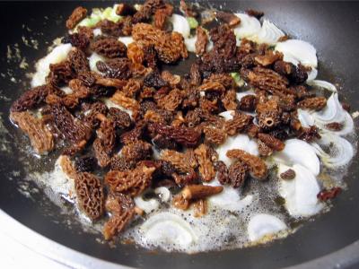 Boeuf aux morilles - 3.3