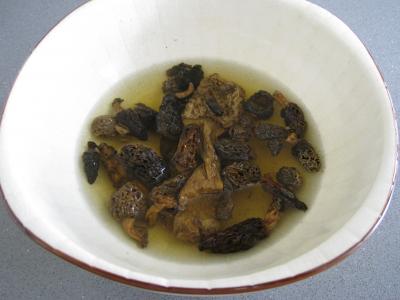 Boeuf aux morilles - 1.4
