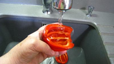 Thon kaskarote à la basquaise - 5.2