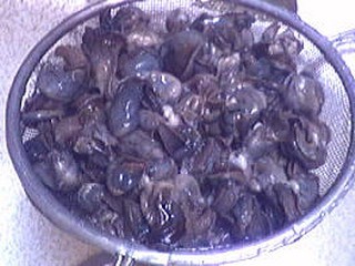 Bouchées aux escargots - 1.4