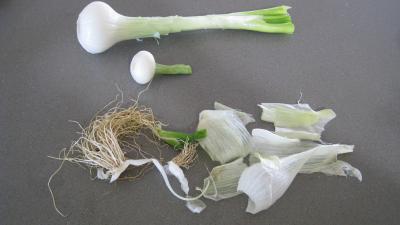 Boulghour aux endives et sa sauce aux amandes - 3.2
