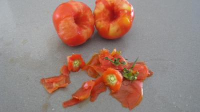 Brick aux courgettes et fenouil - 2.3