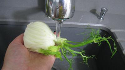 Brick aux courgettes et fenouil - 3.3