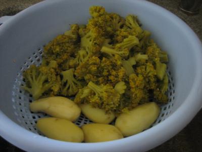 Purée de brocolis - 5.1
