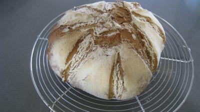 Pain au vin rouge - 8.2
