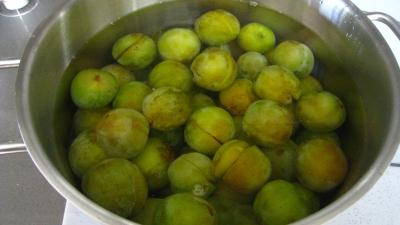 Gelée de mirabelles - 1.3