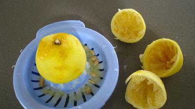 Gelée de mirabelles - 4.4
