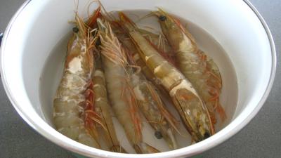 Sauce pâtissière aux crevettes - 1.2