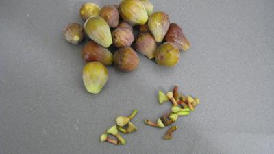 Brick à la confiture de figues - 1.1