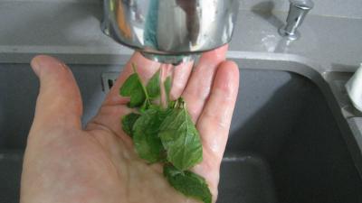 blé en cassolettes aux courgettes - 2.1