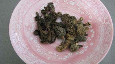 Brick aux champignons des bois - 4.1