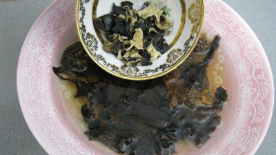 Brick aux champignons des bois - 4.3