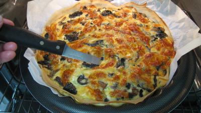 Brick aux champignons des bois - 10.2