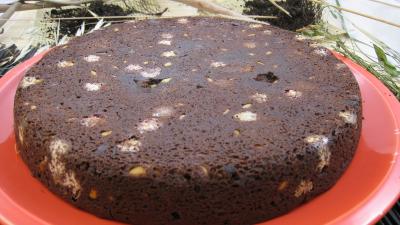 biscuits au chocolat : Biscuit brownies moisis aux asticots