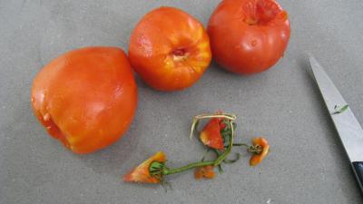 Côtes de porc aux légumes - 3.2