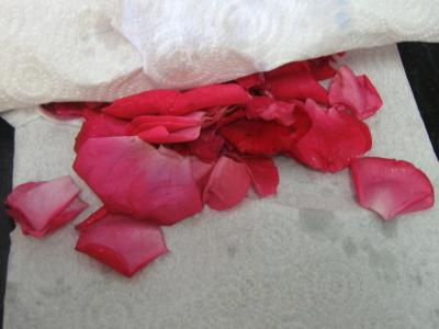 Vinaigre de roses - 2.1