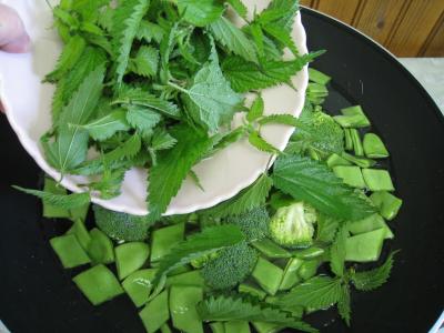 Recette Velouté d'orties aux légumes