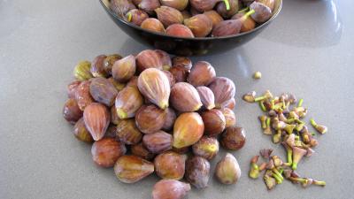 Confiture de figues et raisins - 1.2