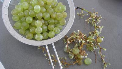 Confiture de figues et raisins - 2.1