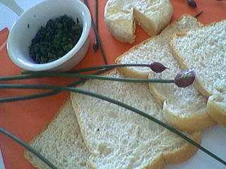 Ingrédients pour la recette : Canapés au saint Marcellin