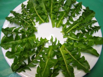 Carottes en salade - 4.1