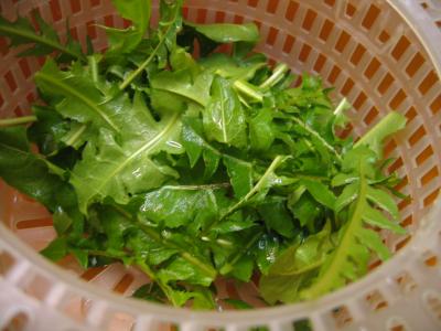 Carottes en salade - 1.3