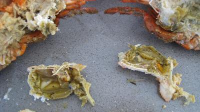 Verrines de homard en salade - 5.1