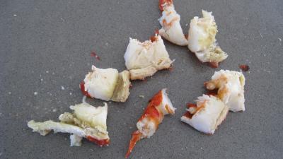 Verrines de homard en salade - 5.3