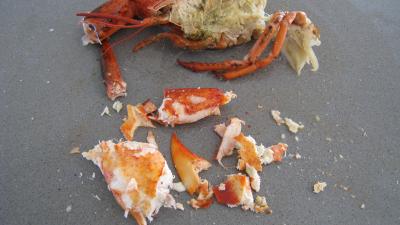 Verrines de homard en salade - 6.2