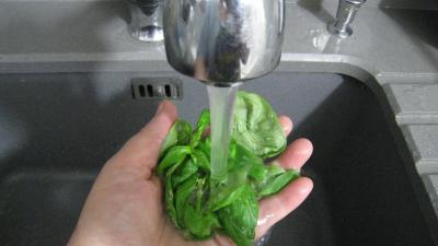 Velouté de légumes - 2.4