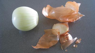 Pain aux oignons en forme de tortue - 5.3
