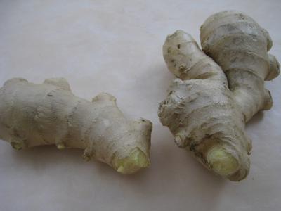 Gingembre