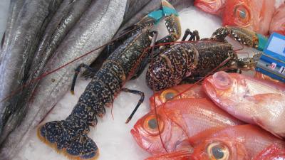 Homard