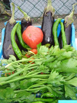 légumes de l'été