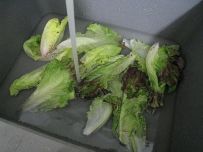 Chou-fleur en salade - 3.1