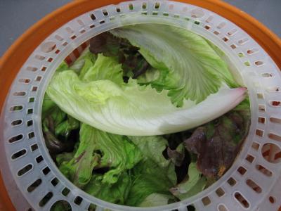 Chou-fleur en salade - 3.3
