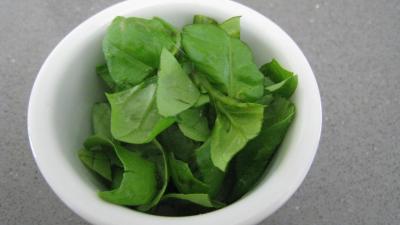 Sauce Lyonnaise - 2.1