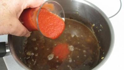 Sauce Lyonnaise - 5.1