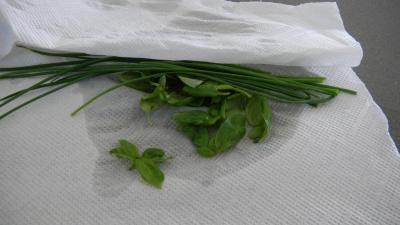 Velouté de bettes - 2.3
