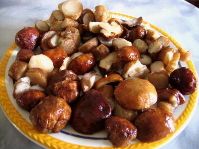 Crème de cèpes au curry - 2.3