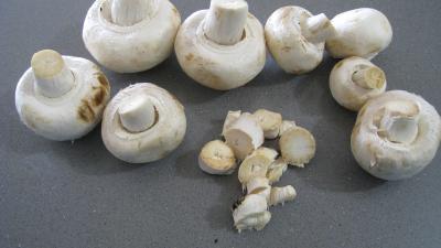 Merlan aux champignons de Paris et pleurotes - 3.1