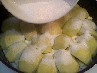 Tarte tatin aux pommes - 3.2