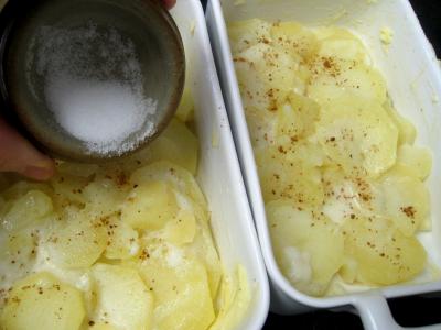 Souris d'agneau et gratin parmentier aux carottes - 9.1