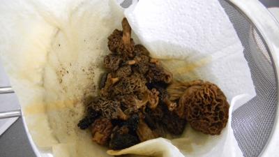 Sauce aux morilles et au Porto - 4.2