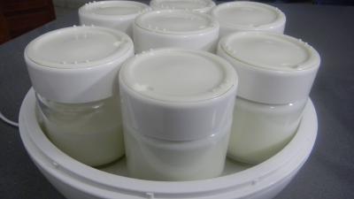 Yaourts au naturel avec ferments - 3.1