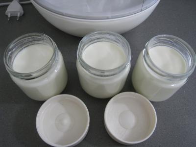 Recette Yaourts au naturel avec ferments