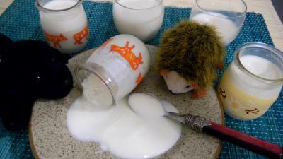 yaourt : Pots de yarouts à la vanille en yaourtière