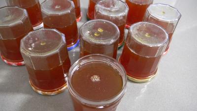 Gelée d'oranges amères - 7.4